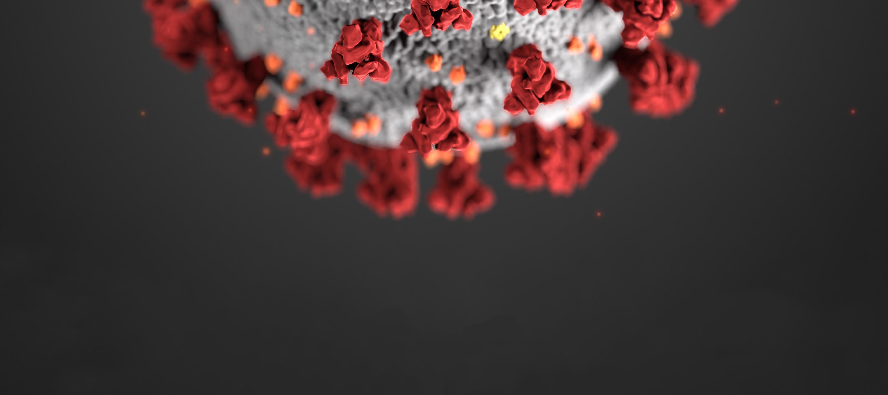 coronavirus