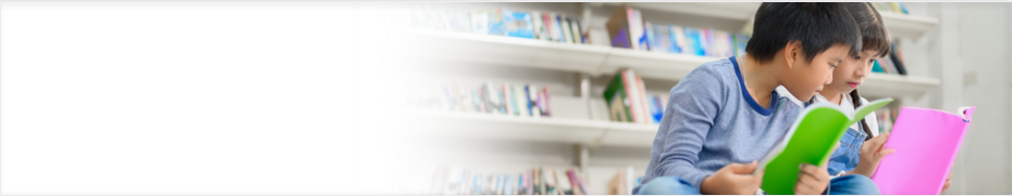 Tribal Libraries web banner